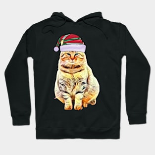 Merry Christmas 2021, Cat with a hat, Christmas gift Hoodie